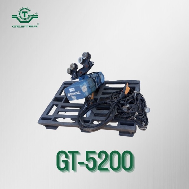 Electric chain hoist