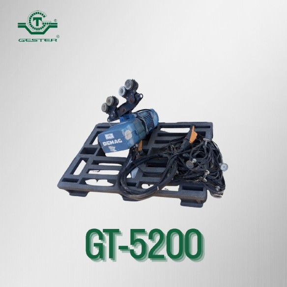 Electric chain hoist