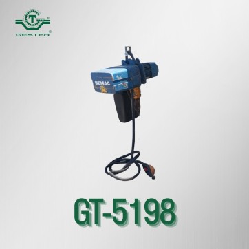 Electric chain hoist