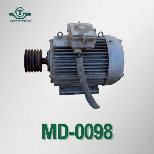 Moteur sur pied