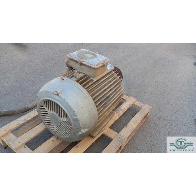 Moteur sur pied