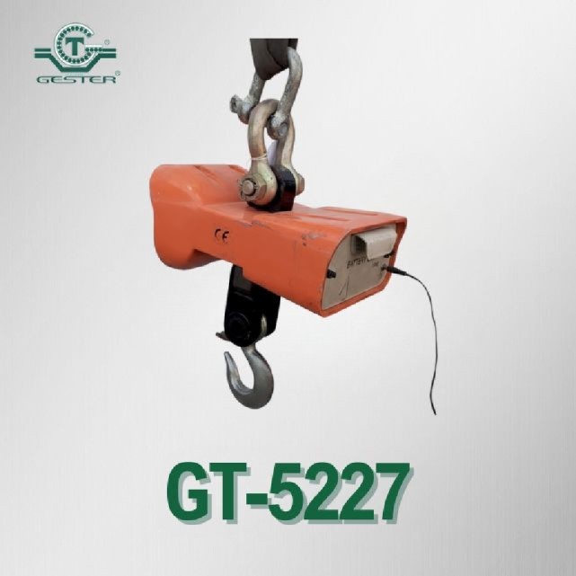 Electric weighing hook