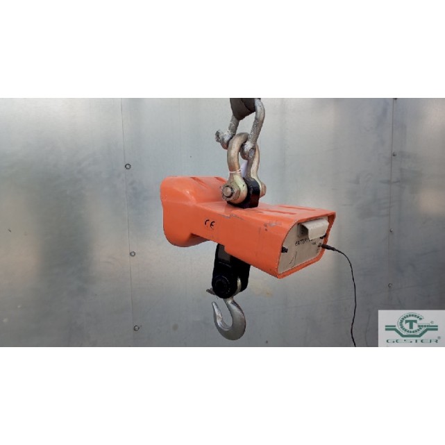 Electric weighing hook