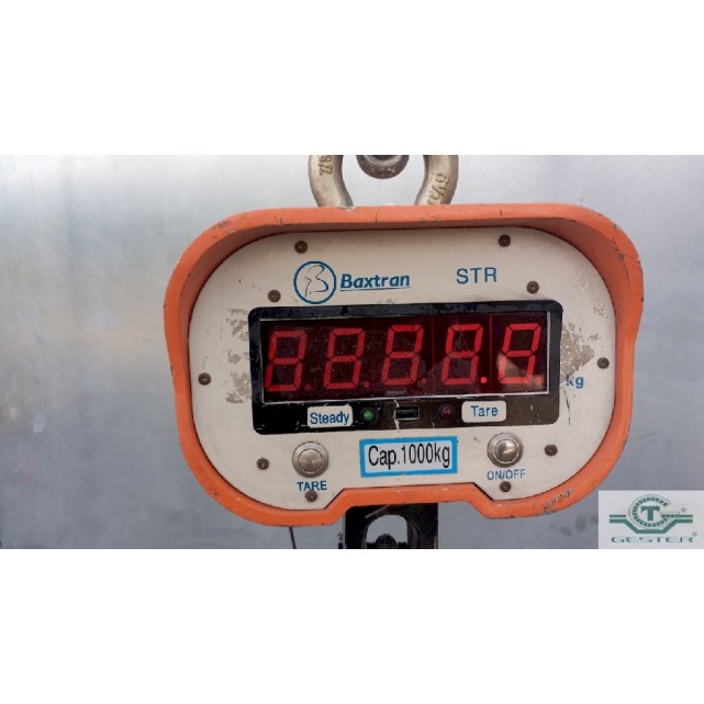 Electric weighing hook
