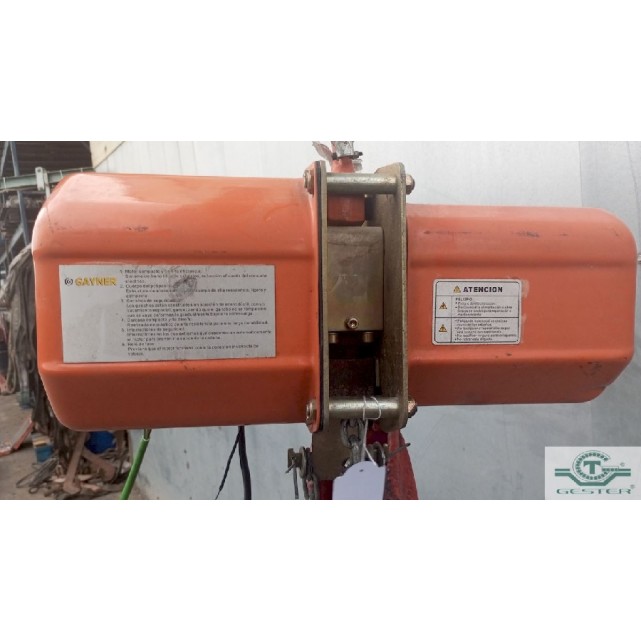 Electric hoist