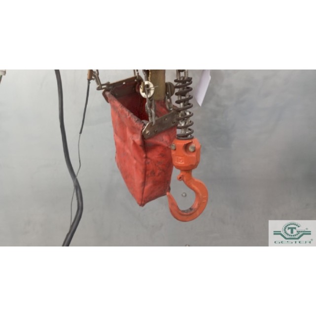 Electric hoist