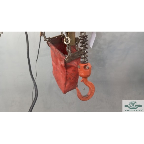 Electric hoist
