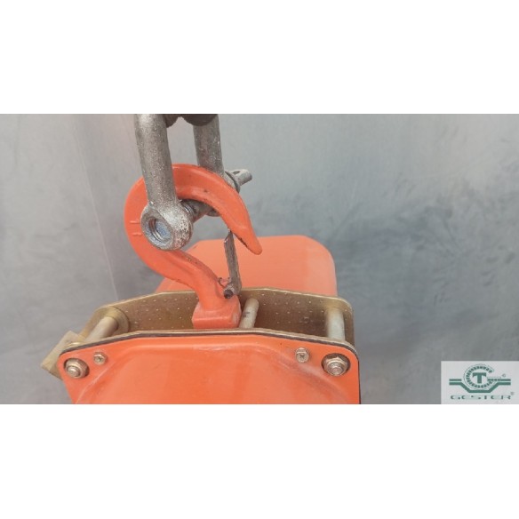 Electric hoist