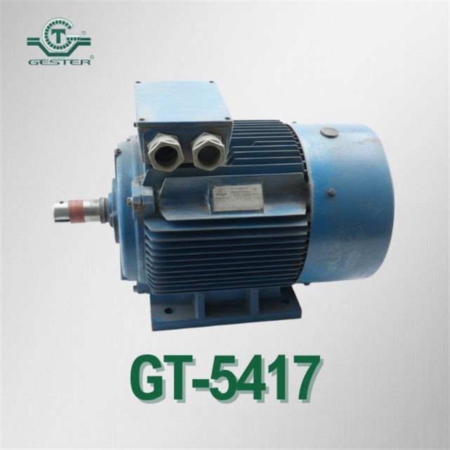 Alternating current motor