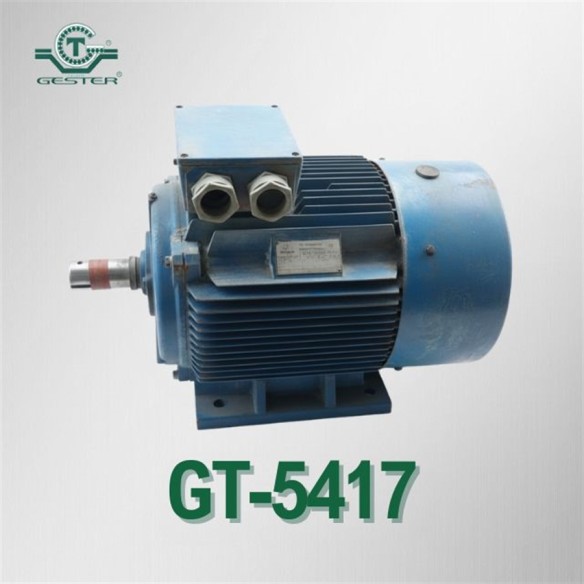 Alternating current motor