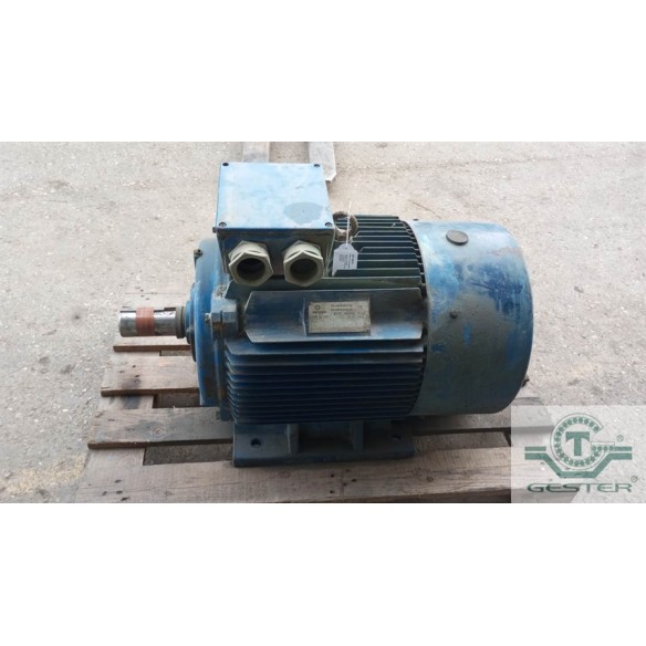 Alternating current motor
