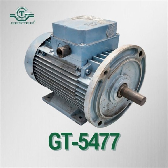 Foot-mounted motor