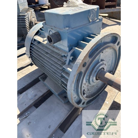 Foot-mounted motor