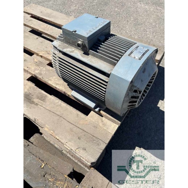Foot-mounted motor