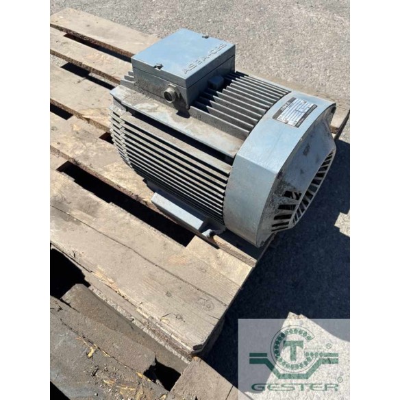 Foot-mounted motor