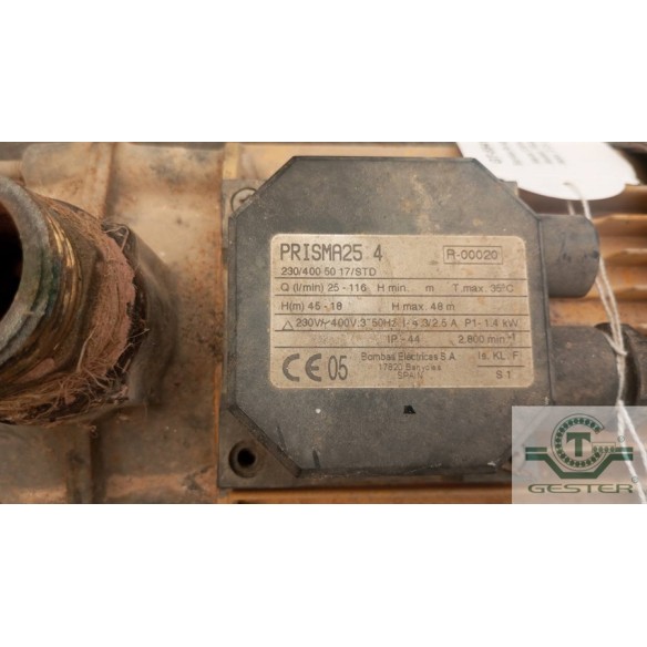 Water pump