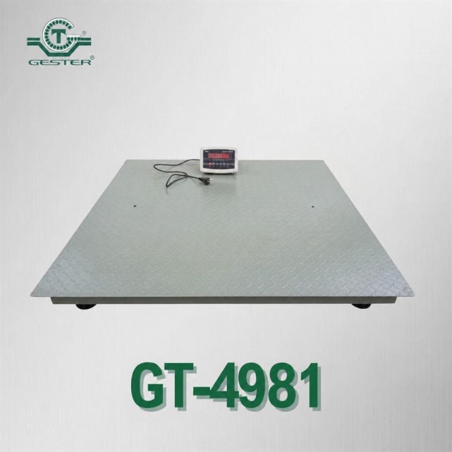 New Electronic Scale