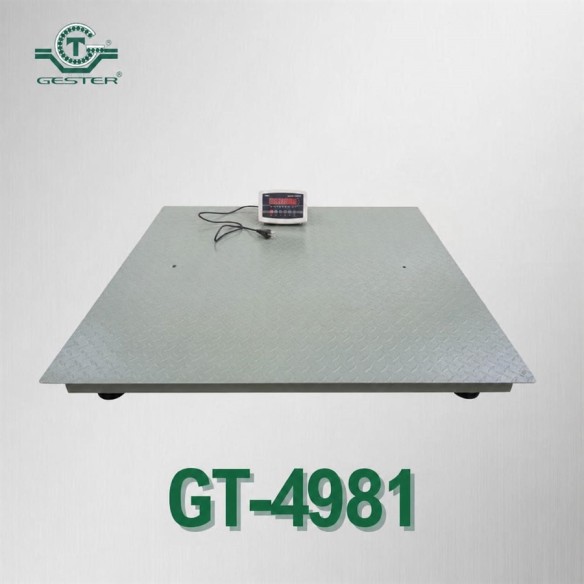 New Electronic Scale