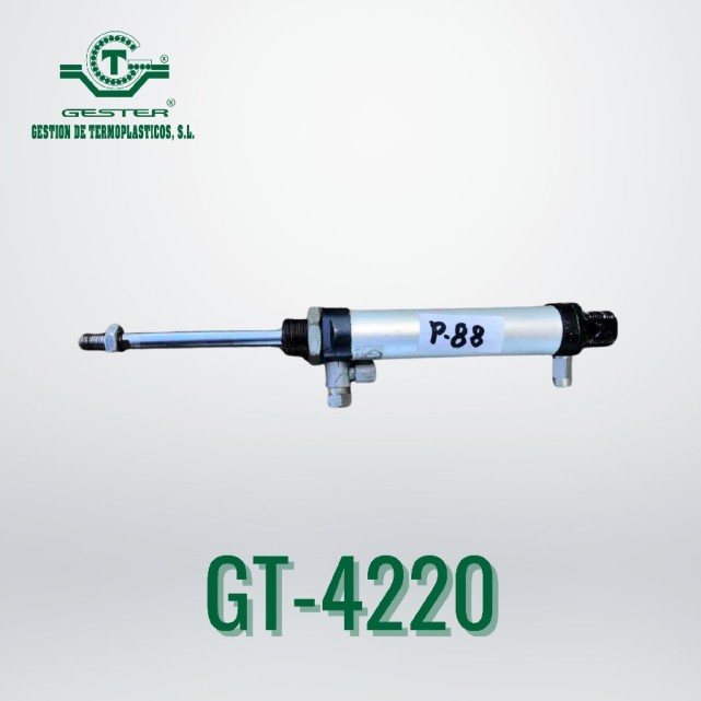 Pneumatic piston