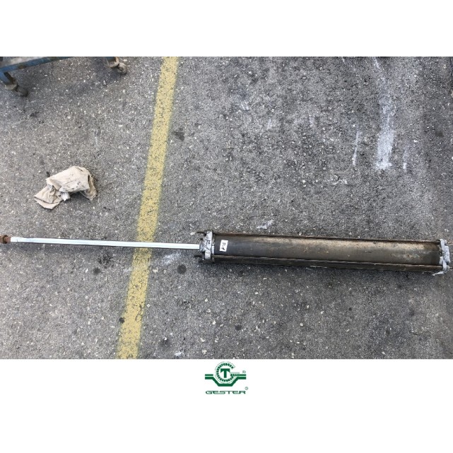 Pneumatic piston