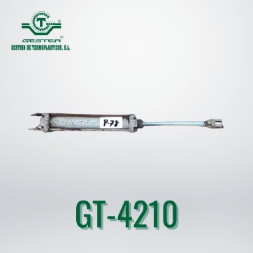 Pneumatic piston