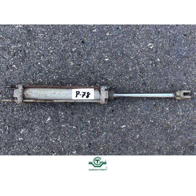 Pneumatic piston