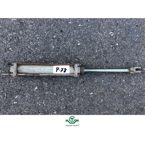 Pneumatic piston
