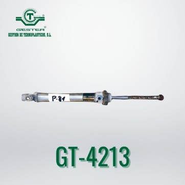 Pneumatic piston