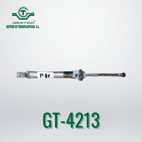 Pneumatic piston