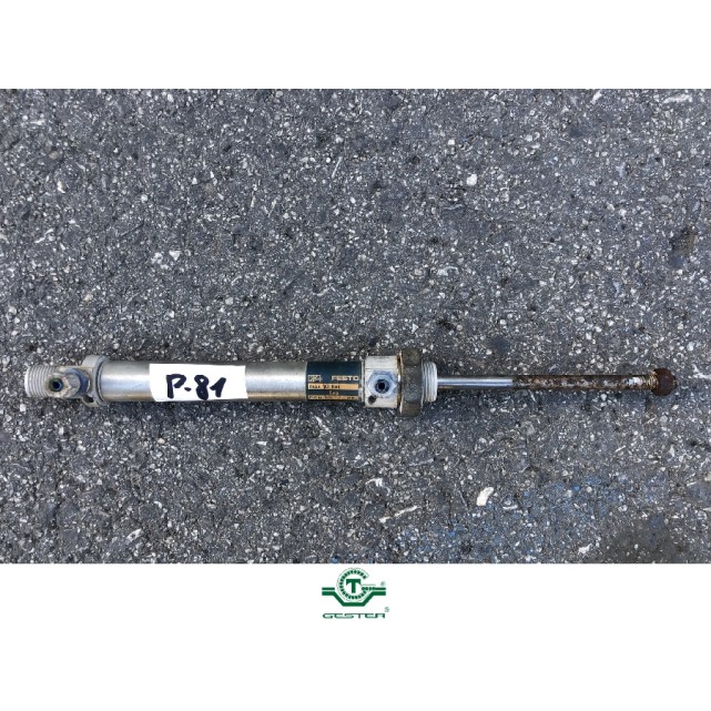 Pneumatic piston
