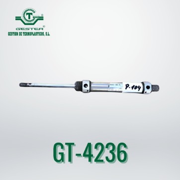 Pneumatic piston