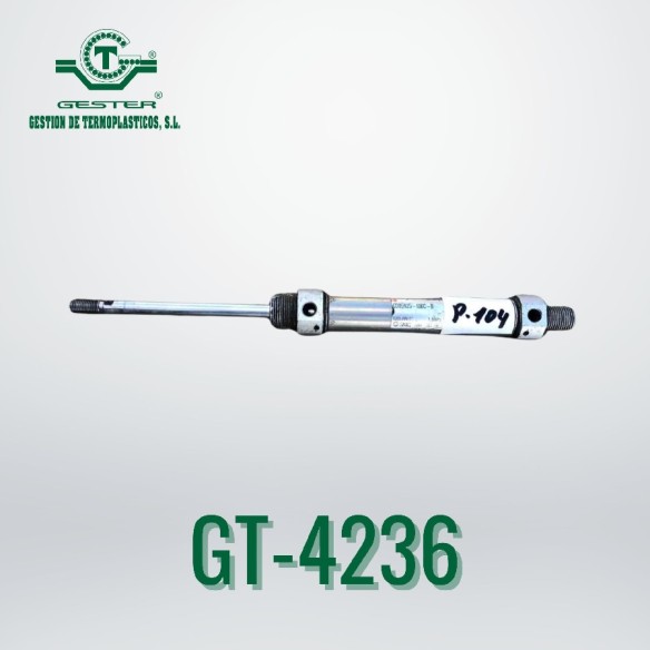Pneumatic piston