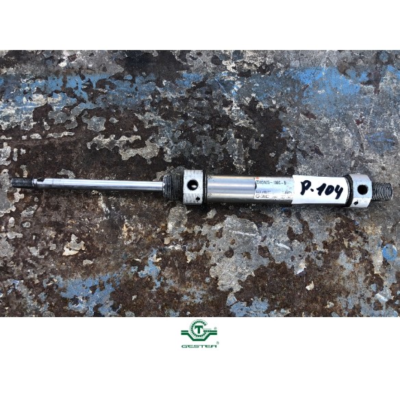 Pneumatic piston