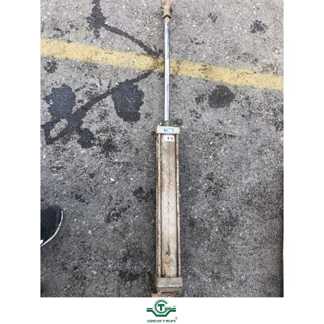 Pneumatic piston