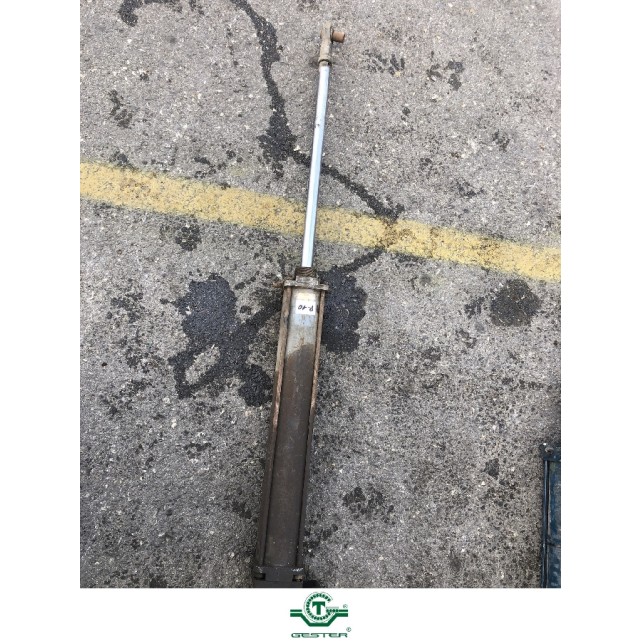 Pneumatic piston
