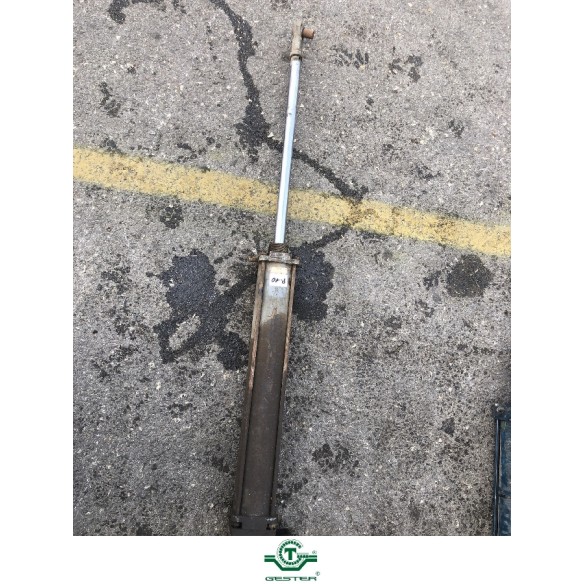 Pneumatic piston