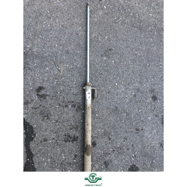 Pneumatic piston