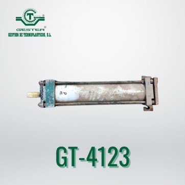 Pneumatic piston