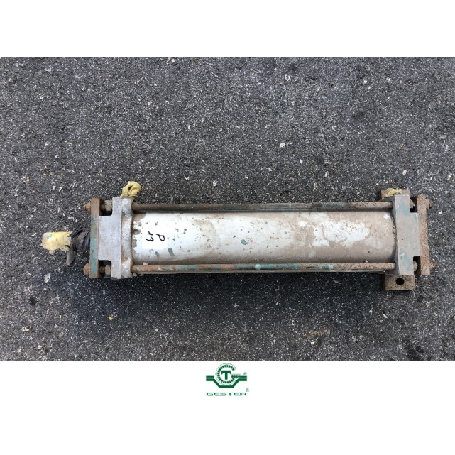 Pneumatic piston