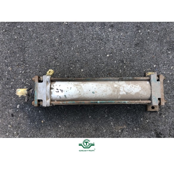 Pneumatic piston