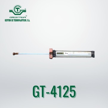 Pneumatic piston