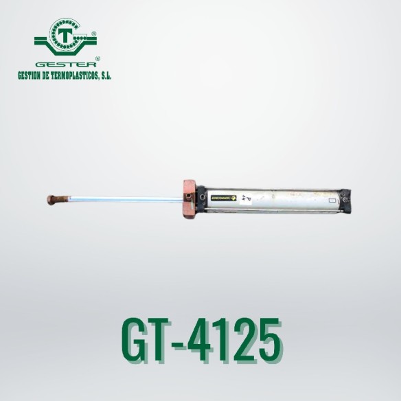 Pneumatic piston