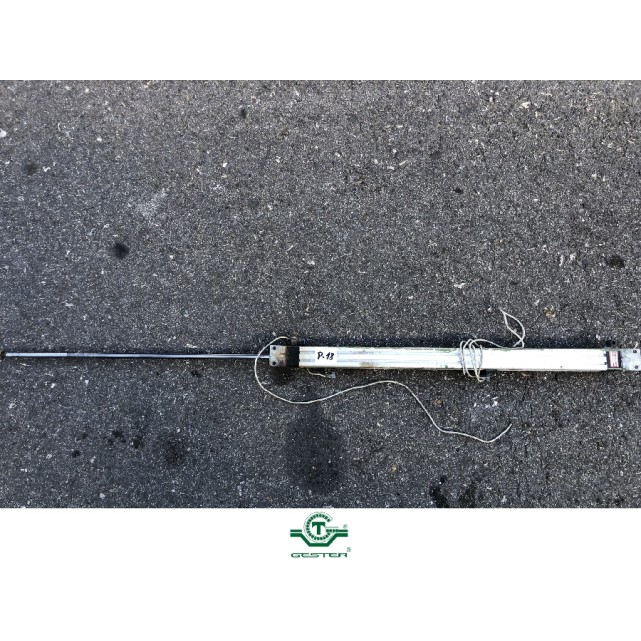 Pneumatic piston