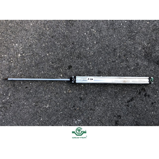 Pneumatic piston