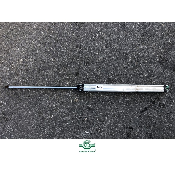 Pneumatic piston