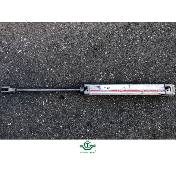 Pneumatic piston