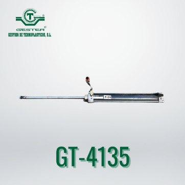 Pneumatic piston