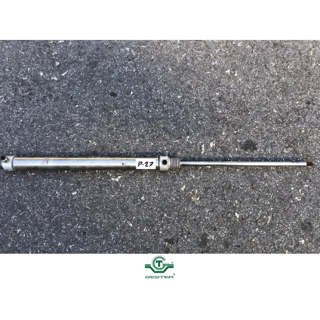 Pneumatic piston