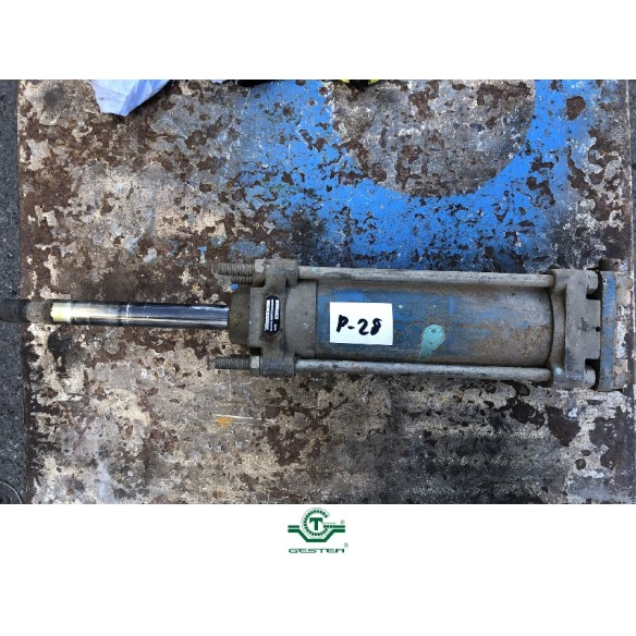 Pneumatic piston