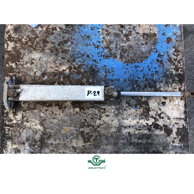 Pneumatic piston